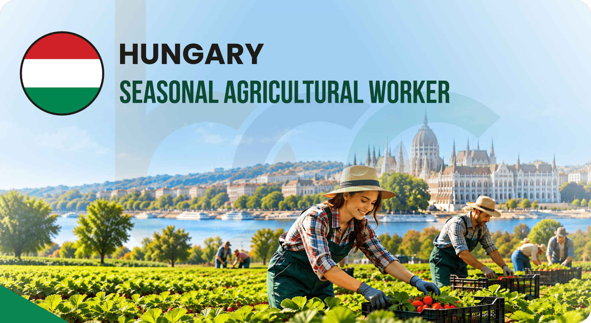 Seasonal Agricultural Work