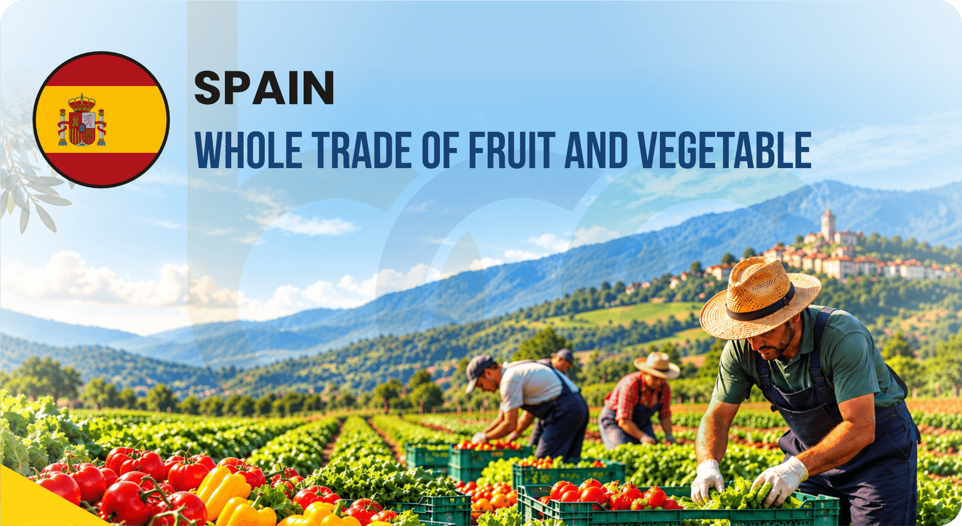 Whole Trade of Fruit and Vegetable Worker (Seasonal)